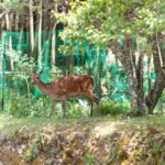 美山サウナ